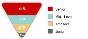 Nirvana China Outsourcing  talent profile